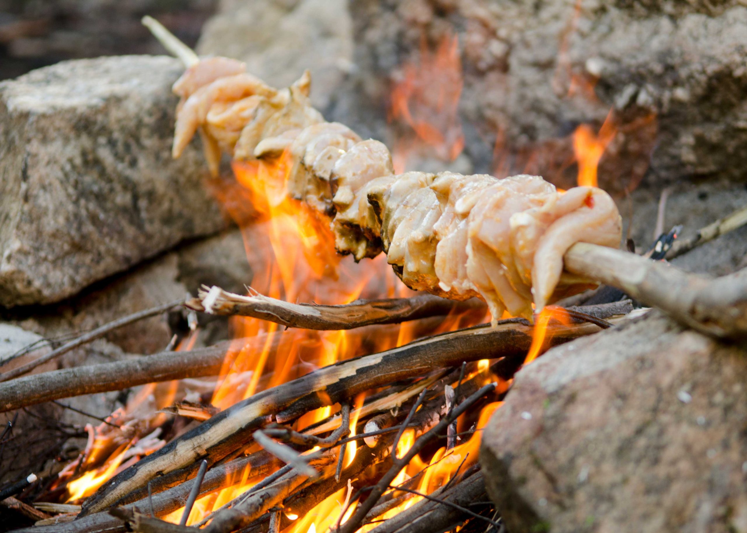 Bushcraft chicken fire spit