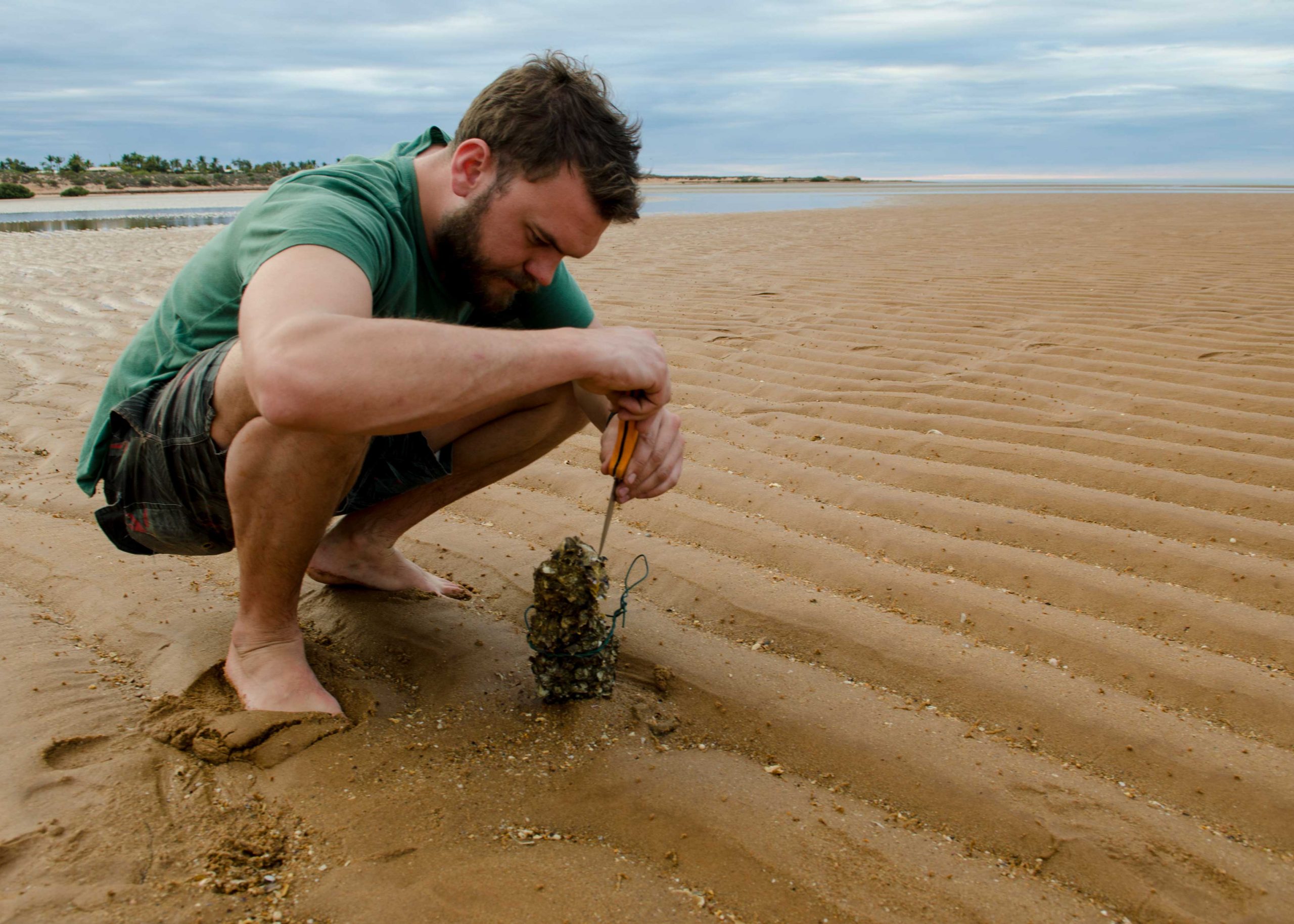 Harry collecting pearl oysters